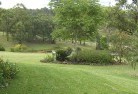 Ringwood NSWplanting-garden-and-landscape-design-51.jpg; ?>